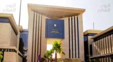 بشرى للمصريين بالخارج.. توجيهات جديدة من وزير الخارجية للارتقاء بمنظومة العمل القنصلي 1